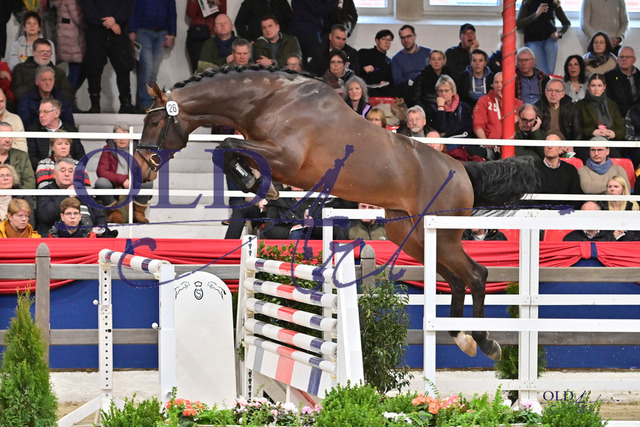 26 DE418180249220 HM Ogano - Cornet_s Prinz - Armitage DSC_9675 | <meta name="description" content="★Offizieller Merchandise und Foto-/Videostore des Oldenburger Verbandes.★ ✅Jetzt auch digital Ausdrucke erhältlich." />
<meta name="keywords" content="Merchandise Foto-/Videostore Oldenburger Verband Photographie 