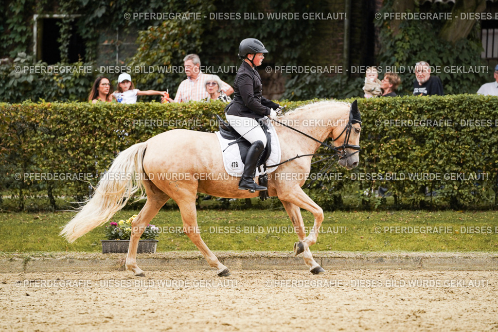 DSC00188 | Pferdegrafie