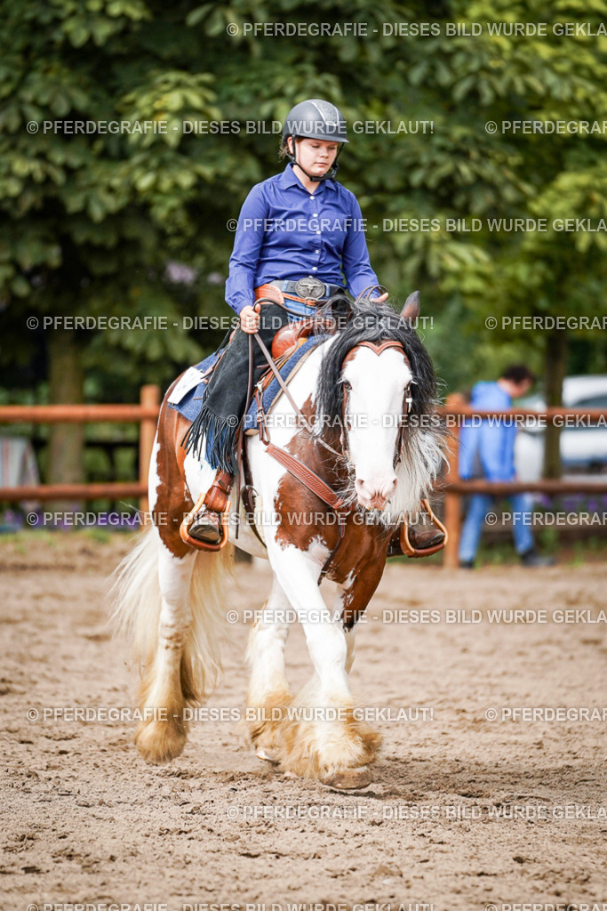 DSC07732 | Pferdegrafie