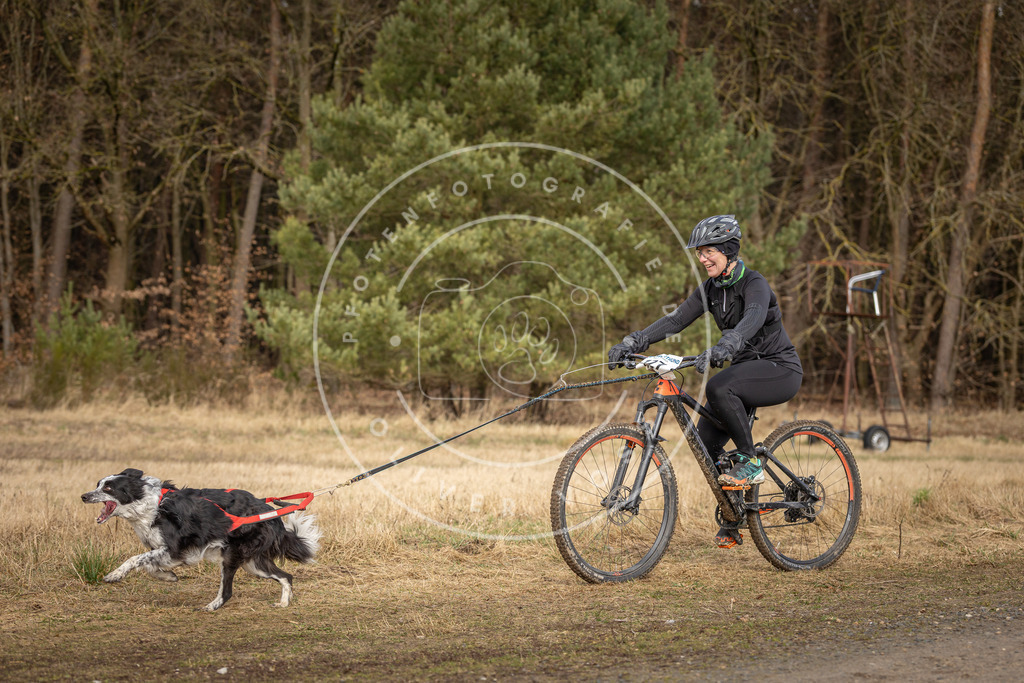 DV3A4558 | Hundefotografie, Tierfotograf, Pfotenfotografie, Fotoshooting Hund, Hunde Portrait, Hundesport, Hundeportraits, Heideshooting, Hunde, Sportfotograf, Hundefotograf, Turnierhundsport, THS,  - Realisiert mit Pictrs.com