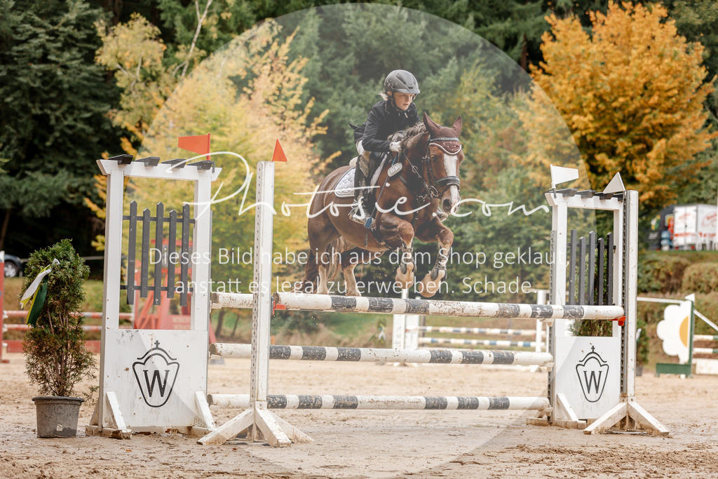 3I6A6818 | Stimmungsvolle Portraits und Reitsportfotografie im Ruhrgebiet und im Münsterland.

Pferdefotografie, Hundefotografie, Tierfotografie, Reportagen, Portraits von Tier und Mensch, Turnierfotografie in Bochum, Recklinghausen, Marl, Haltern am See, Dülmen.. - Realisiert mit Pictrs.com