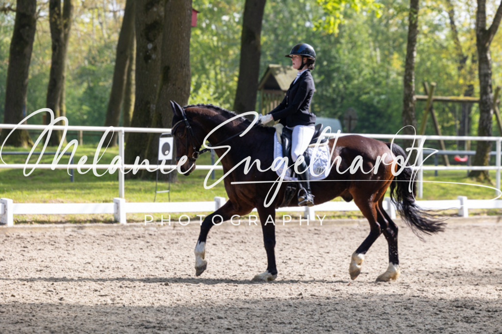 7I8A1196 | melanie-engelhardt-photography - Realisiert mit Pictrs.com