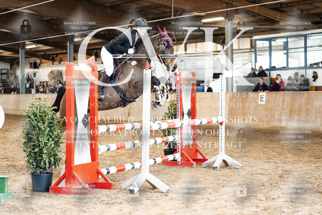 CK905141 | Turnierfotografie Pferdefotografie Trier Rheinland-Pfalz Pferdesport Reitsport Tierfotografie Sportfotografie Pferdevideo Pferdevideografie Equestrianvideography equestrianphotography  - Realisiert mit Pictrs.com
