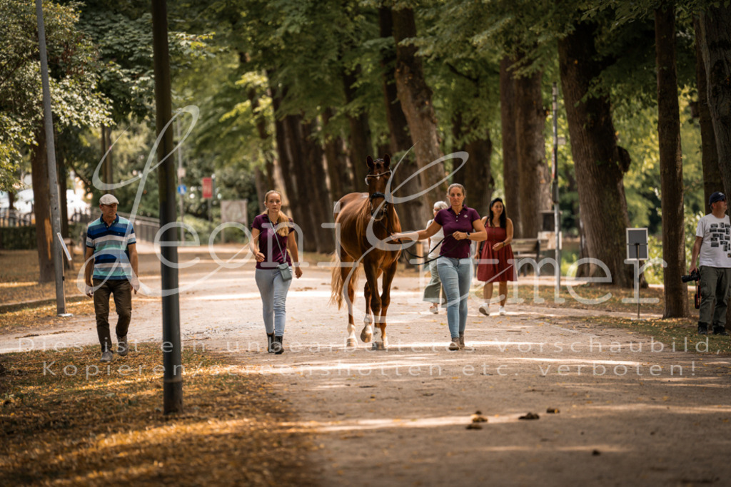FrPfM00253 | Leoni Ertmer Photography - Realisiert mit Pictrs.com