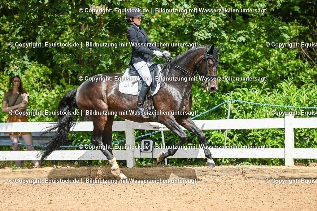 20230716_01_Dressurprüfung Kl.M_0070 | equistock