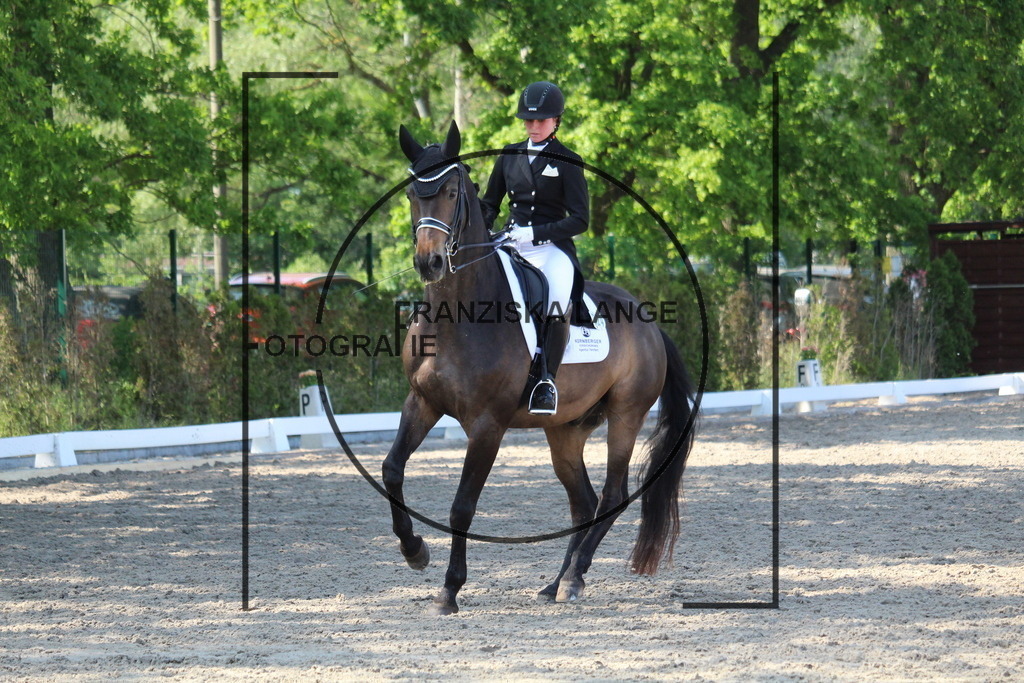 IMG_5461 | franziskalange - Realisiert mit Pictrs.com