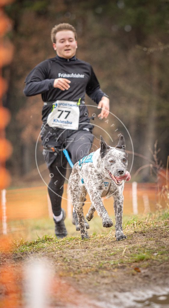 DV3A0279 | Hundefotografie, Tierfotograf, Pfotenfotografie, Fotoshooting Hund, Hunde Portrait, Hundesport, Hundeportraits, Heideshooting, Hunde, Sportfotograf, Hundefotograf, Turnierhundsport, THS,  - Realisiert mit Pictrs.com