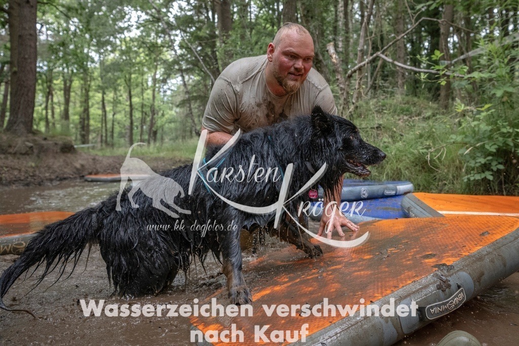 0916_ZZ91287T | kk-dogfotos