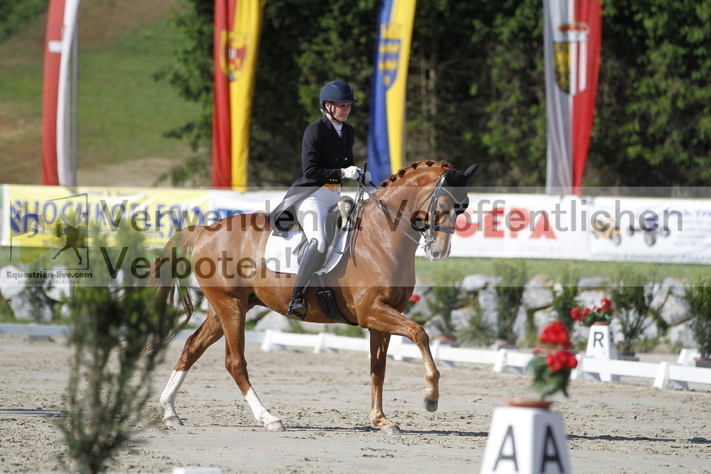 _MG_3137 | equestrian-live-com