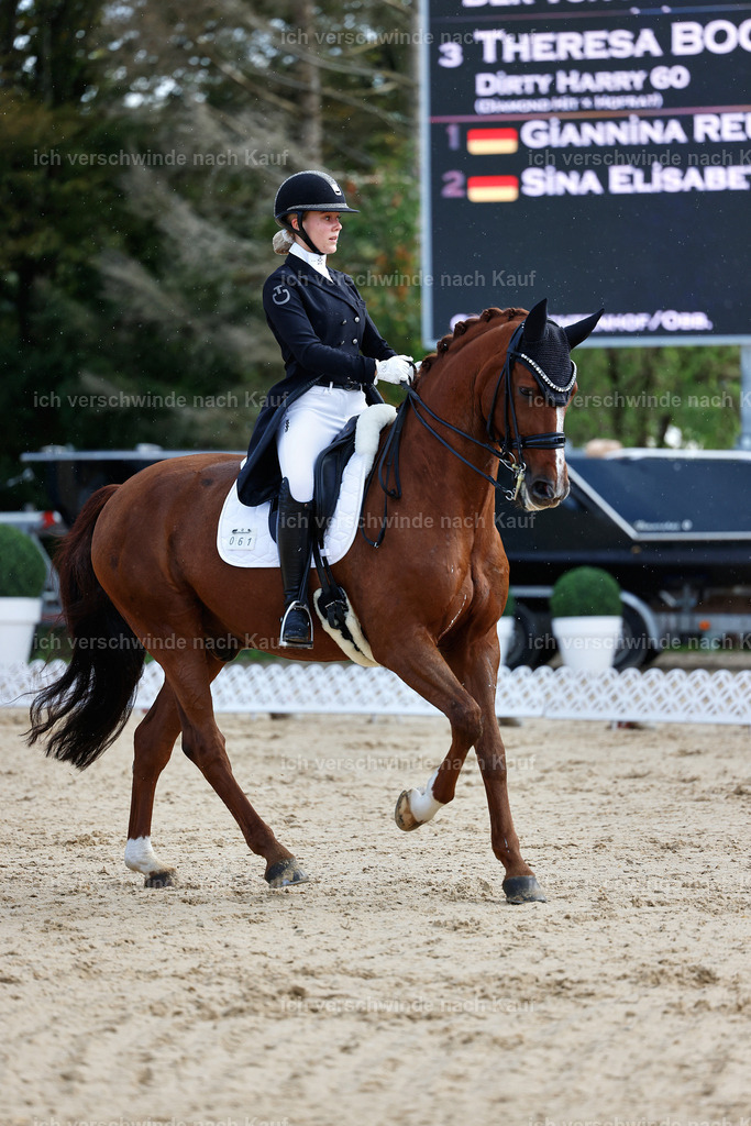 10-061-ST.GEORG SPECIAL -StoibPH-3143 | working equitationturnier fotograf videograf stoibphotography marixx film working equitation deutschland reitsport turnierfotografie eventfotografie equestrian events