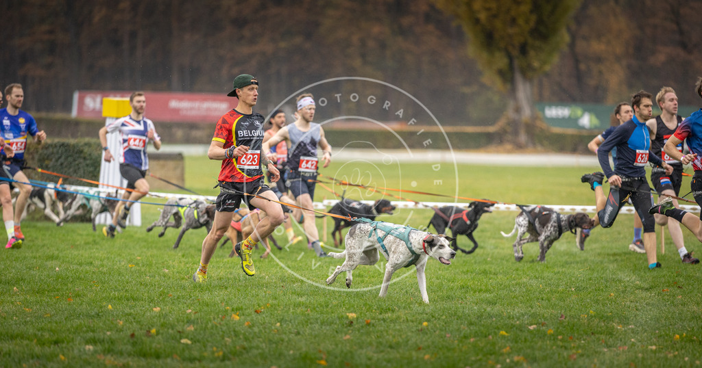 CaniXpix_DV3A9475 | Hundefotografie, Tierfotograf, Pfotenfotografie, Fotoshooting Hund, Hunde Portrait, Hundesport, Hundeportraits, Heideshooting, Hunde, Sportfotograf, Hundefotograf, Turnierhundsport, THS,  - Realisiert mit Pictrs.com