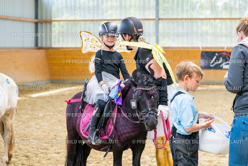 DSC00264 | Pferdegrafie