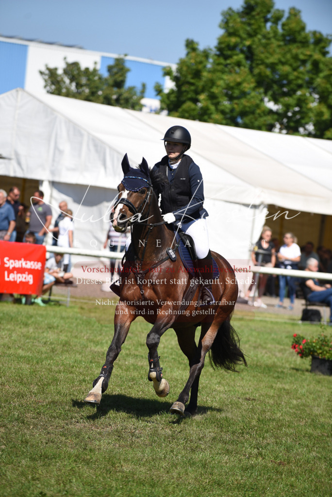 DSC_9391 | Pferde- und Turnierfotografie in Westsachsen. Pferdeportraits, Auftragszeichnungen und intuitive Kunst.