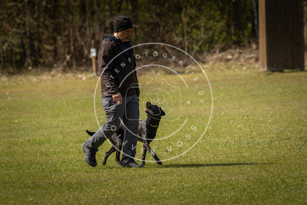 Pfotenfotografie_DV3A1258 | Hundefotografie, Tierfotograf, Pfotenfotografie, Fotoshooting Hund, Hunde Portrait, Hundesport, Hundeportraits, Heideshooting, Hunde, Sportfotograf, Hundefotograf, Turnierhundsport, THS,  - Realisiert mit Pictrs.com