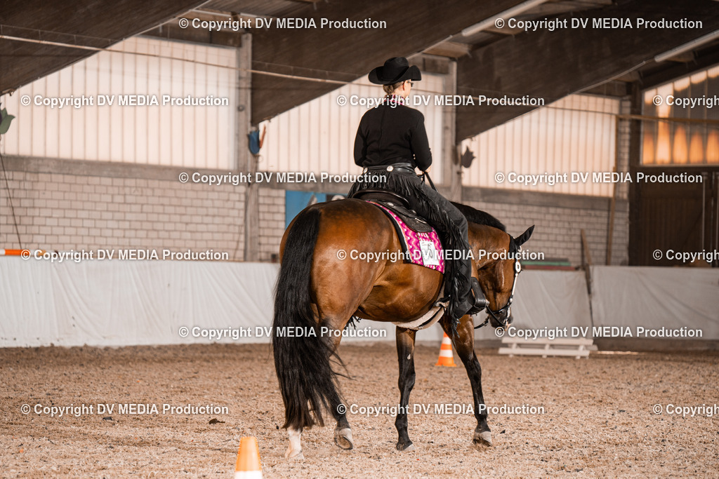 ZH100704 | dv-media-shop - Realisiert mit Pictrs.com