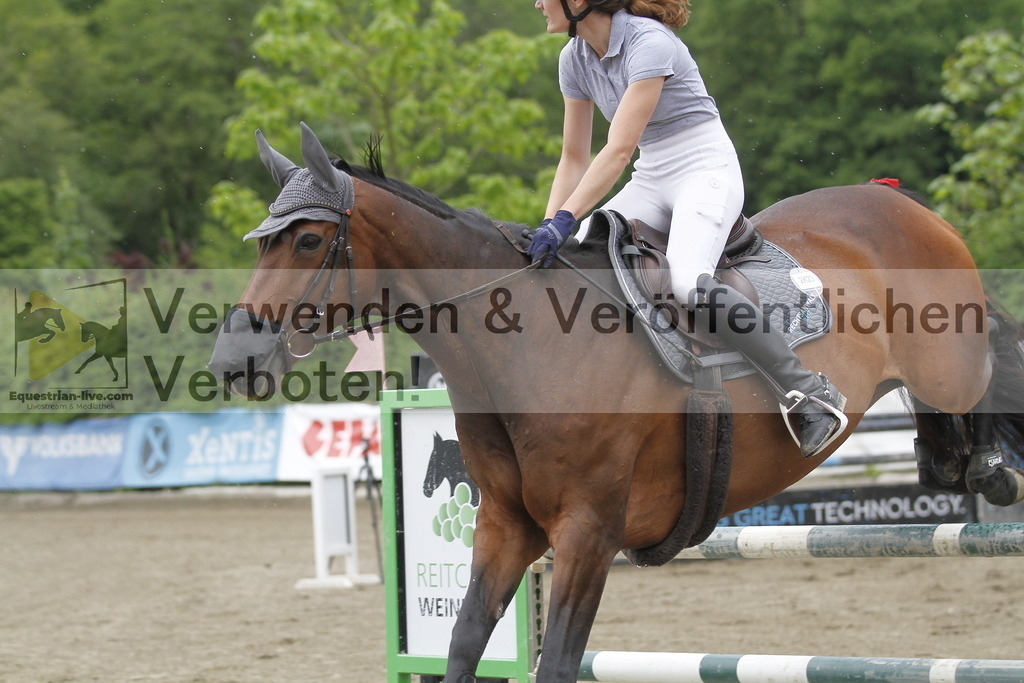 _MG_1643 | equestrian-live-com