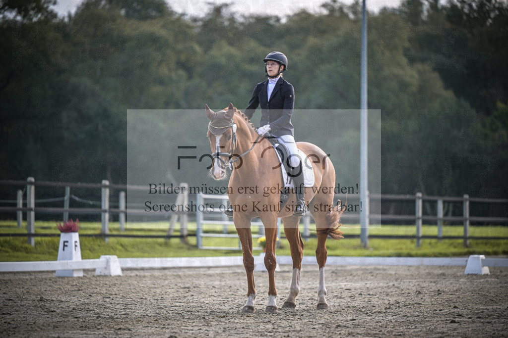 DOS_B049 | Entdecke hochwertige Reitturnierfotos von Foto Oger. Professionell, emotional und authentisch – jetzt Lieblingsmomente im Shop bestellen.Deutschlandweite Turnierfotografie. - Realisiert mit Pictrs.com