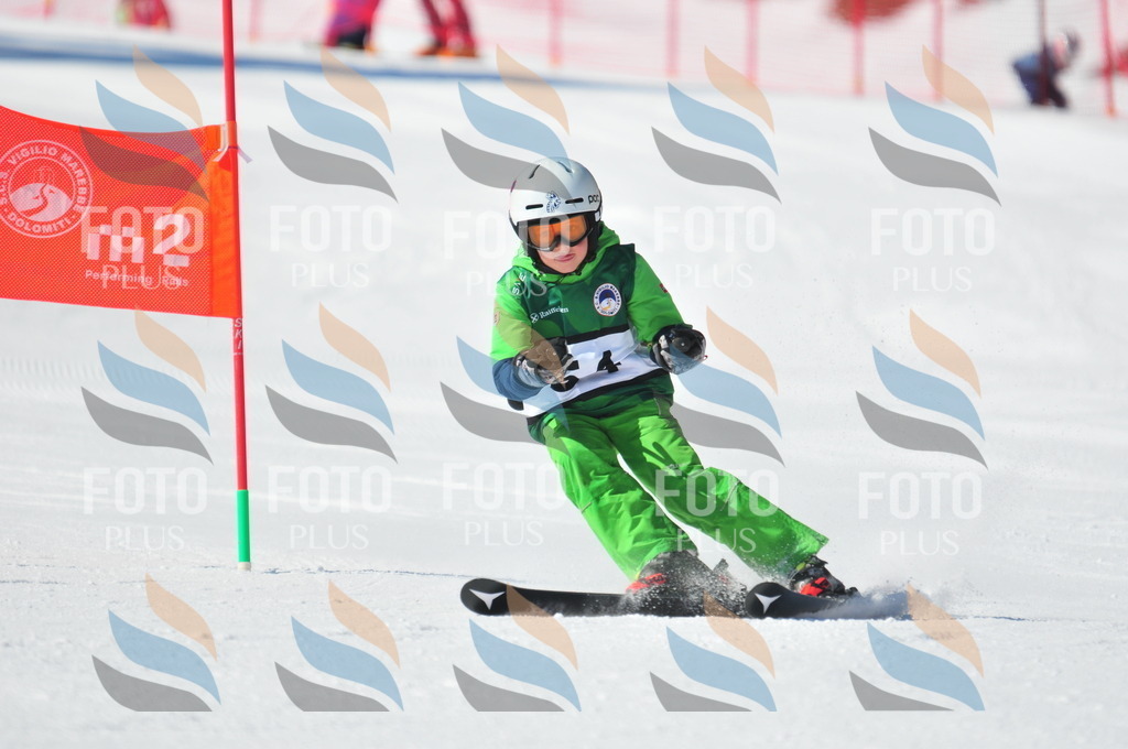 C2873 | holidayphoto