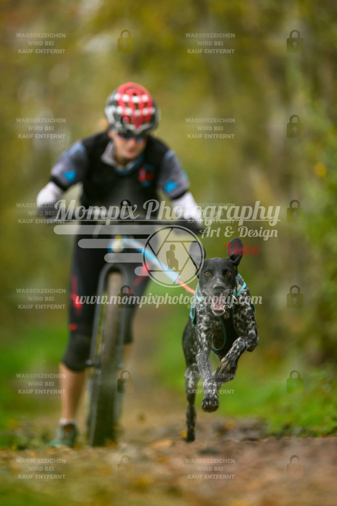 MompixPhotography_20TSB_E6_DS1-30 | PayLife