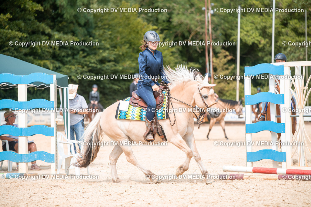 EWP_6762 | dv-media-shop - Realisiert mit Pictrs.com