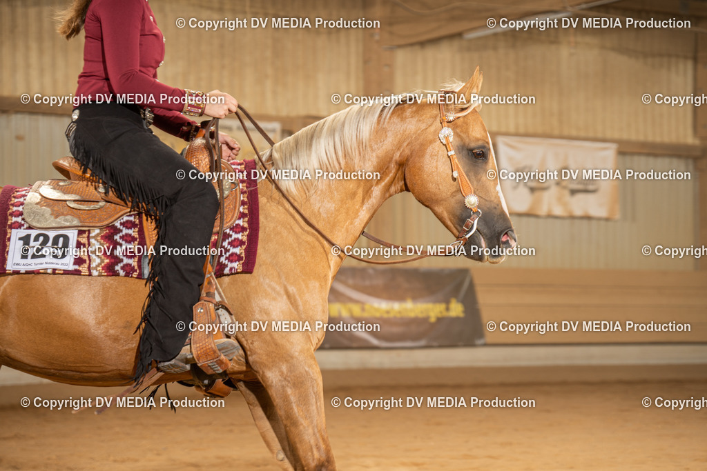 NID03071 | dv-media-shop - Realisiert mit Pictrs.com