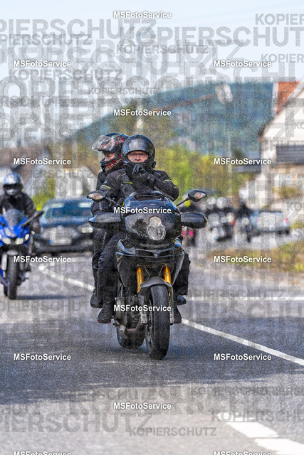 MSFotoService-618 | MSFotoService - Realisiert mit Pictrs.com