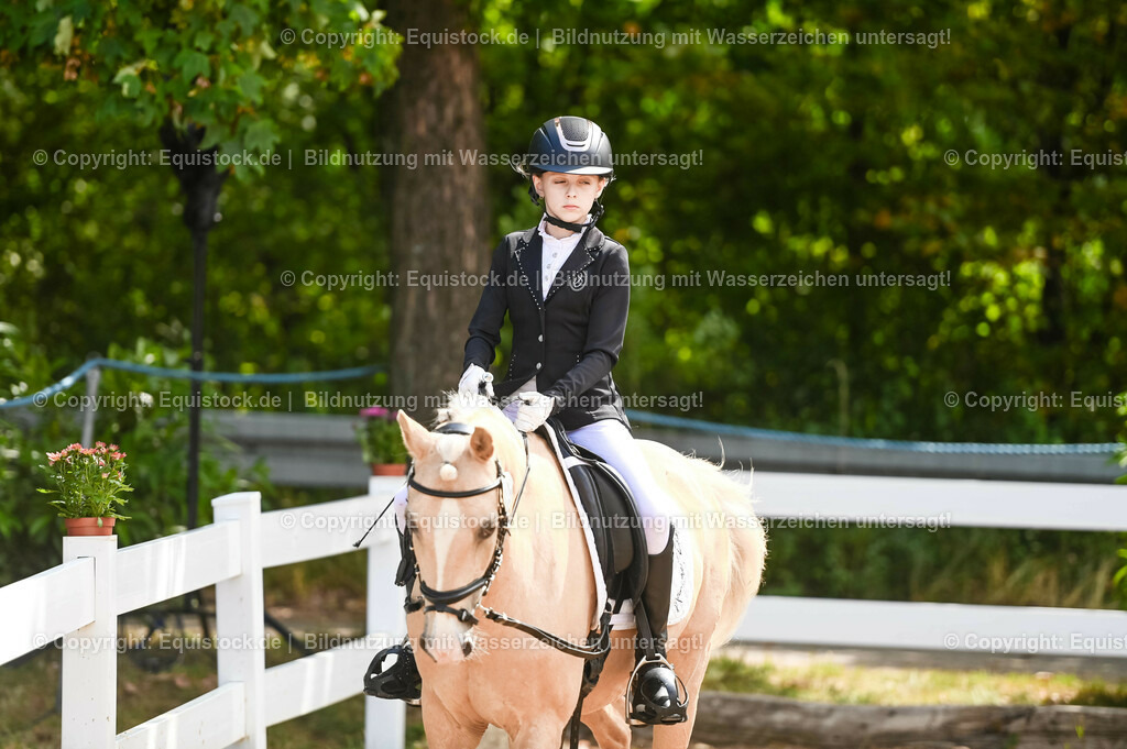 20230716_10-3_Reiter-WB Schritt - Trab - Galopp_0008 | equistock