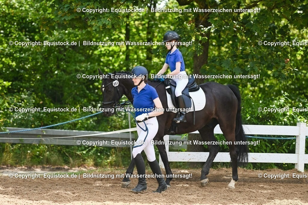 20230716_11_Führzügel-WB_0028 | equistock