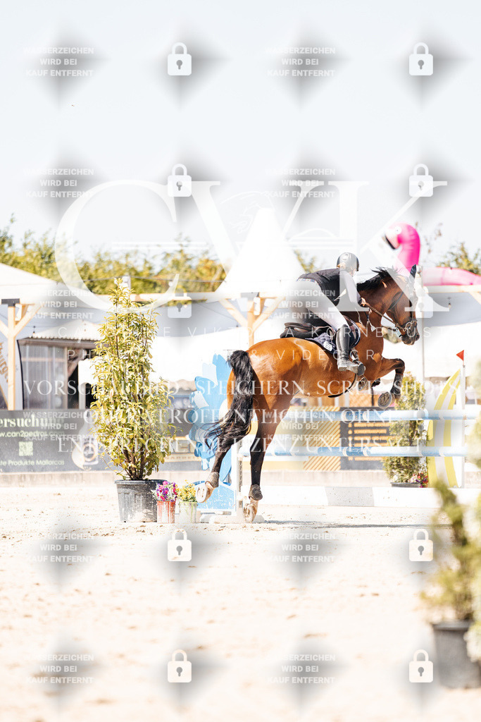CK909963 | Turnierfotografie Pferdefotografie Trier Rheinland-Pfalz Pferdesport Reitsport Tierfotografie Sportfotografie Pferdevideo Pferdevideografie Equestrianvideography equestrianphotography  - Realisiert mit Pictrs.com