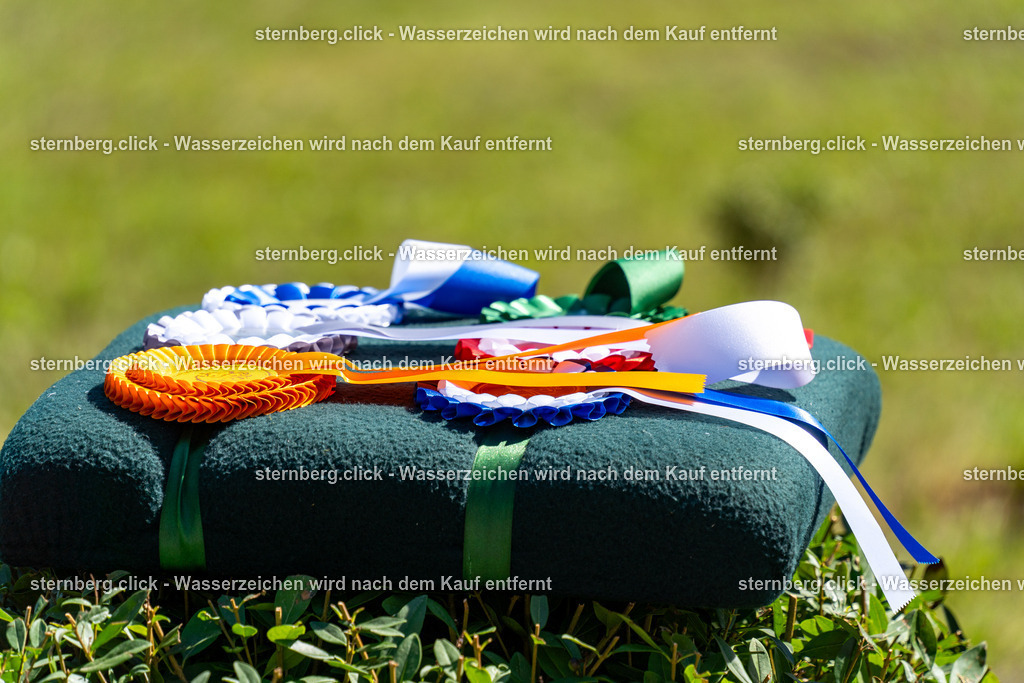 2026-08-29_10-46-22_sternberg.click_WBO-Diera | sternberg.click - Realisiert mit Pictrs.com