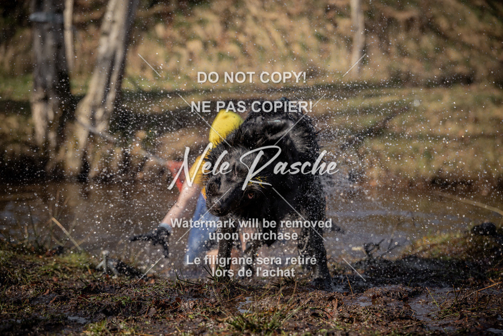 nelerasche_FS1330-1400_186 | nelerasche