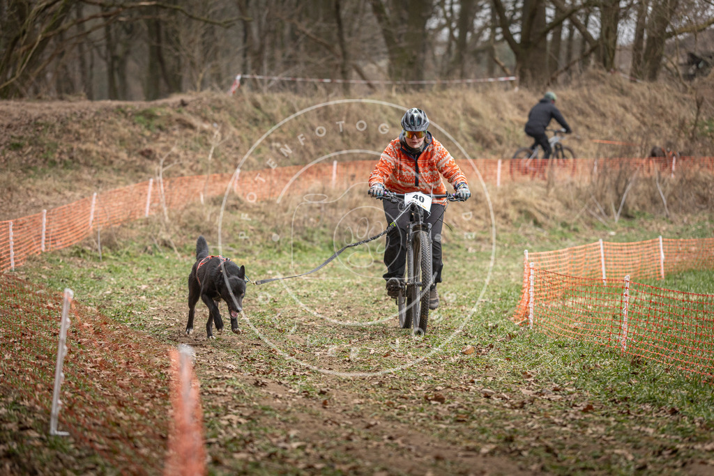 Pfotenfotografie_DV3A0109 | Hundefotografie, Tierfotograf, Pfotenfotografie, Fotoshooting Hund, Hunde Portrait, Hundesport, Hundeportraits, Heideshooting, Hunde, Sportfotograf, Hundefotograf, Turnierhundsport, THS,  - Realisiert mit Pictrs.com