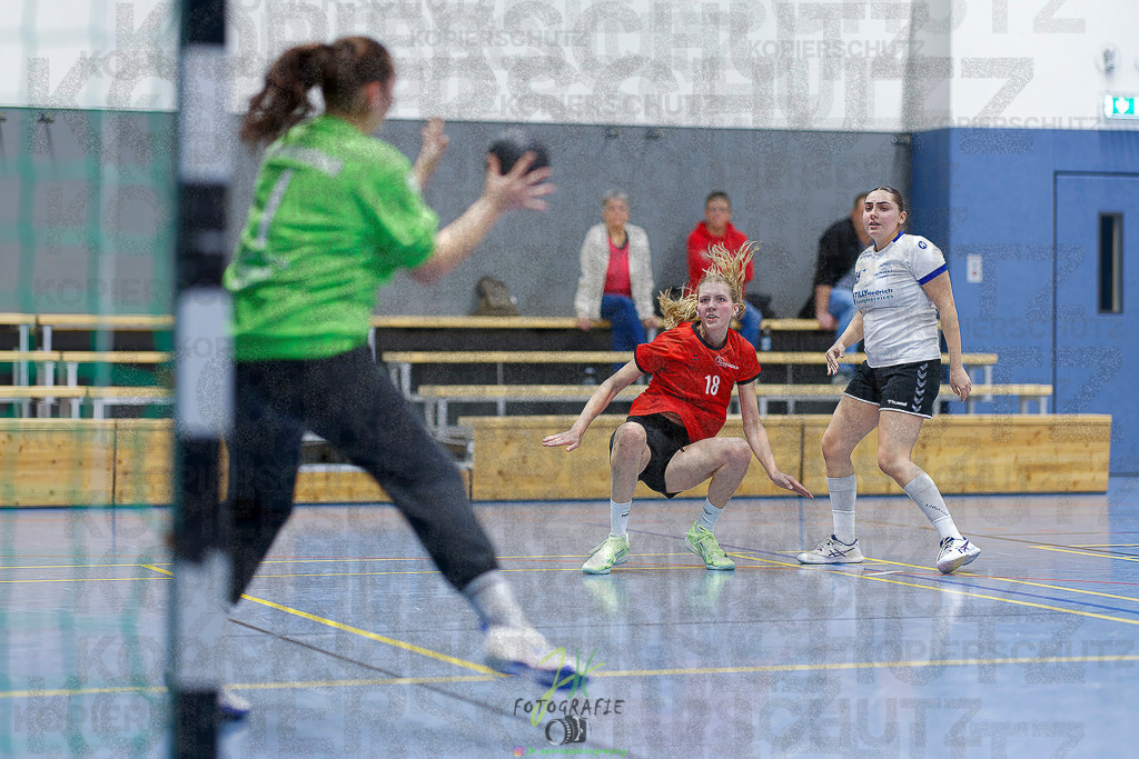 Frauen 2. Bezirksklasse; SG Rechtenbach - HSG Linden II | Frauen 2. Bezirksklasse; SG Rechtenbach - HSG Linden II am 16.11.2025 in Rechtenbach (Sporthalle Rechtenbach)Photo © 2025 - Jörg Heinrich - Realisiert mit Pictrs.com