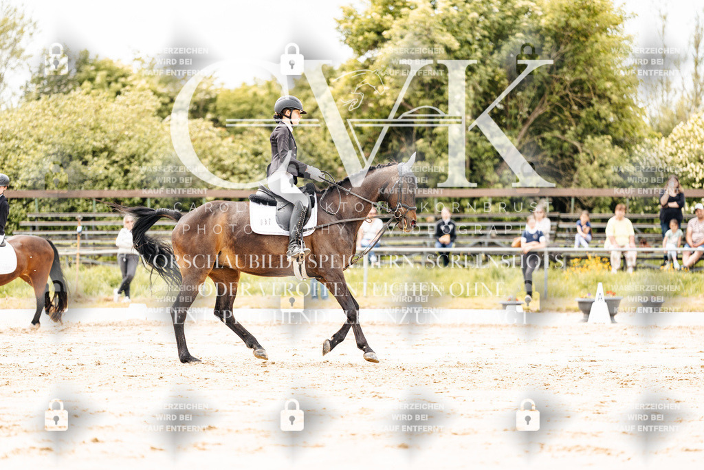 CK902831 | Turnierfotografie Pferdefotografie Trier Rheinland-Pfalz Pferdesport Reitsport Tierfotografie Sportfotografie Pferdevideo Pferdevideografie Equestrianvideography equestrianphotography  - Realisiert mit Pictrs.com