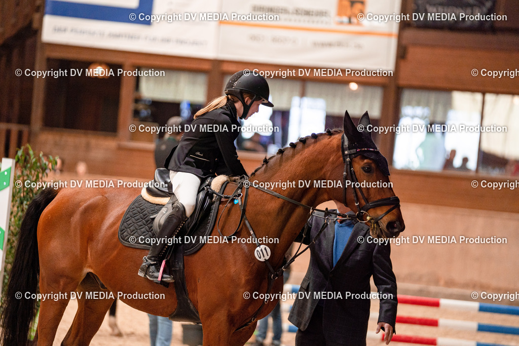 Springen Tag 3-297 | dv-media-shop - Realisiert mit Pictrs.com