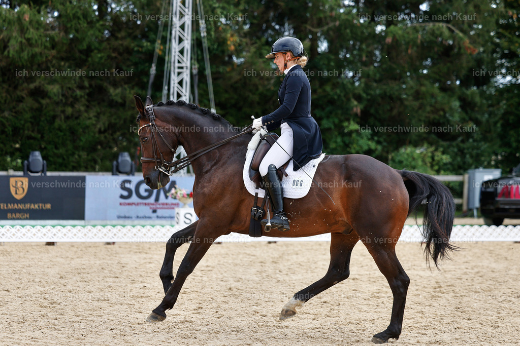11-066-Dressur S___-StoibPH-1250 | working equitationturnier fotograf videograf stoibphotography marixx film working equitation deutschland reitsport turnierfotografie eventfotografie equestrian events