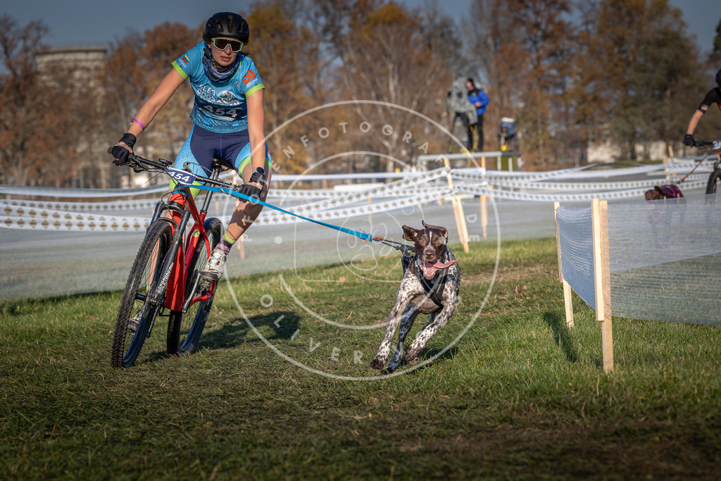 CaniXpix_0L8A4424 | Hundefotografie, Tierfotograf, Pfotenfotografie, Fotoshooting Hund, Hunde Portrait, Hundesport, Hundeportraits, Heideshooting, Hunde, Sportfotograf, Hundefotograf, Turnierhundsport, THS,  - Realisiert mit Pictrs.com