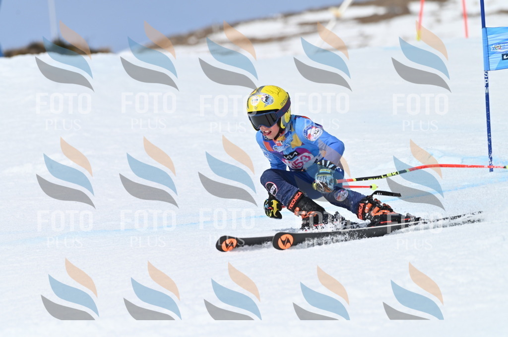 BGV_3722 | holidayphoto