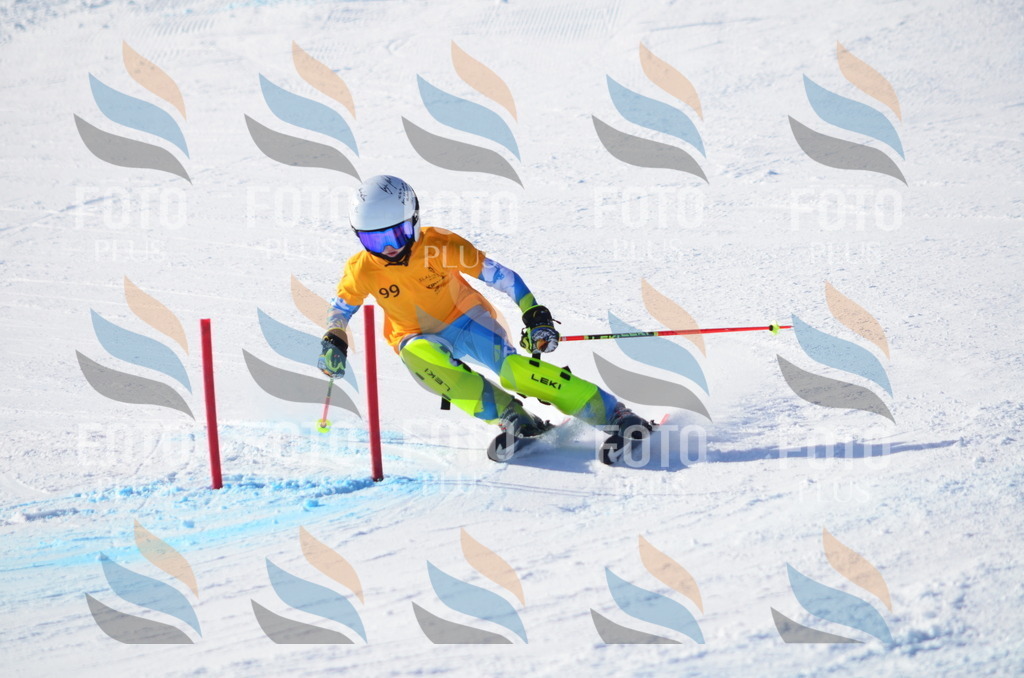 C6167 | holidayphoto