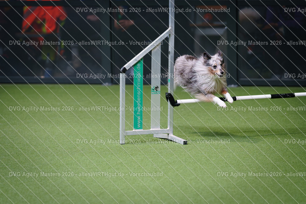 allesWIRTHgut_Tierfotografie-DVG_Agility_Masters_2026-12_09-7R507442 | Professionelle Tierfotografie in Mönchengladbach von Daniel Wirth (allesWIRTHgut). Liebevolle & natürliche Bilder von Hunden & Katzen für unvergessliche Erinnerungen.
