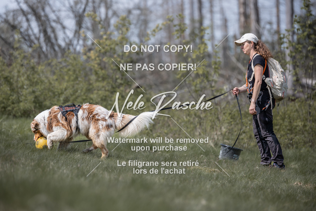 6Z1A1021 | nelerasche