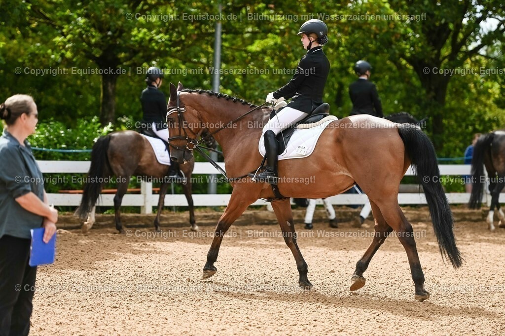 20230716_10-1_Reiter-WB Schritt - Trab - Galopp_0085 | equistock