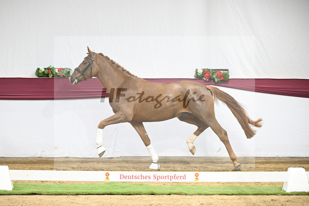 Kat-Nr. 115 Secret x Fidermark_Frieder Heilemann_47254374 | hf-fotografie - Realisiert mit Pictrs.com