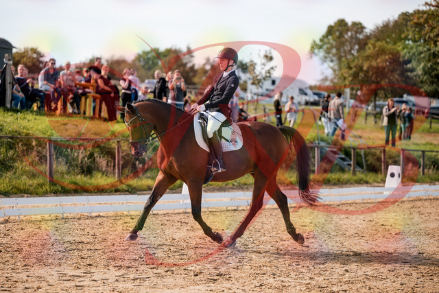 2026_10_03_Siefer-Hof_131002_Z63_72109466 | Professionelle Reitsport-, Turnier- und Eventfotografie von Robert Broda. Galerien mit ausgewählten und bearbeiteten Bildern direkt online ansehen und bestellen.