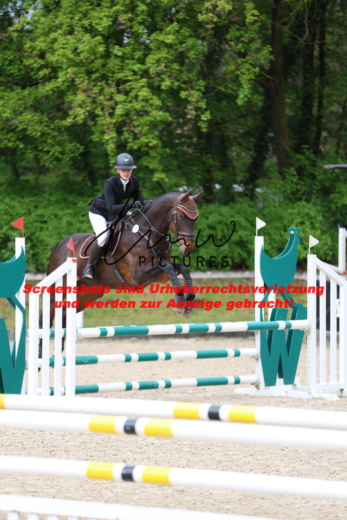 A40A1239 | lmwpictures - Realisiert mit Pictrs.com