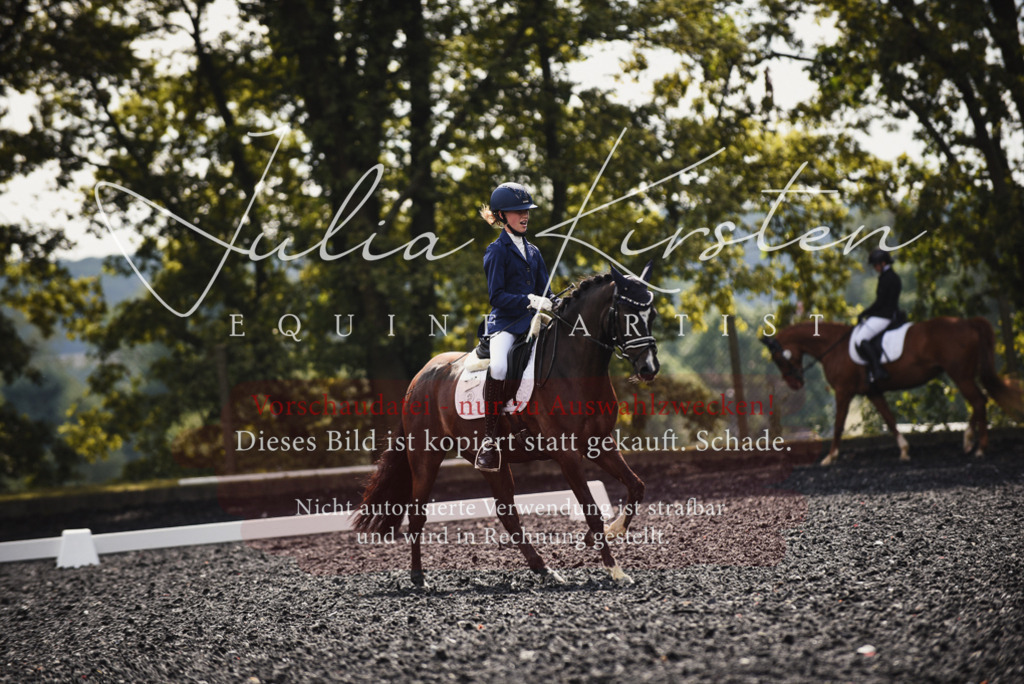 DSC_3873 | Pferde- und Turnierfotografie in Westsachsen. Pferdeportraits, Auftragszeichnungen und intuitive Kunst.