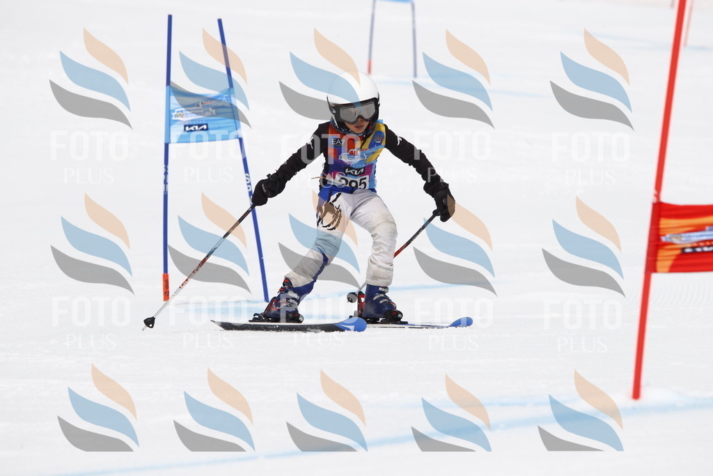 _U3G7364 | holidayphoto