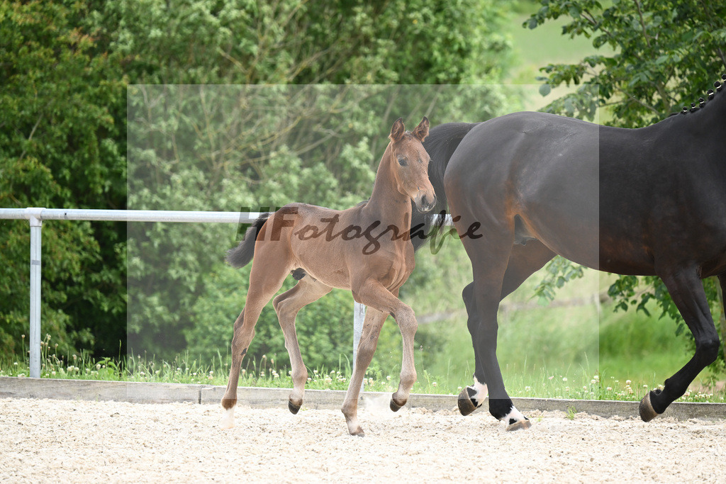 Va Bene x Fidertanz_HF_Koller_20240875 | hf-fotografie - Realizzato con Pictrs.com