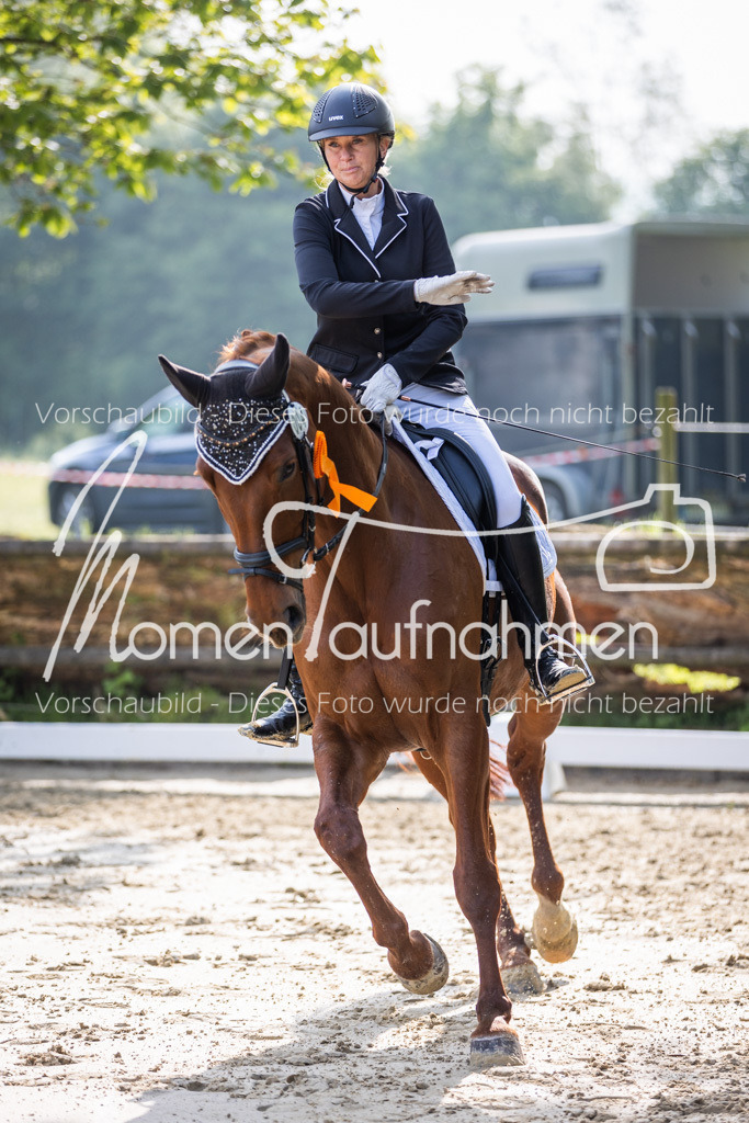 Donop24-A-Dre-172 | MomenTaufnahmen Pferdesportfotos