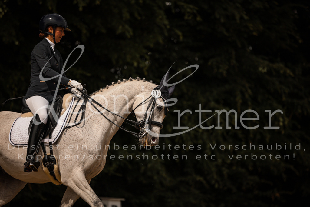 18.SoDrLK00236 | Leoni Ertmer Photography - Realisiert mit Pictrs.com